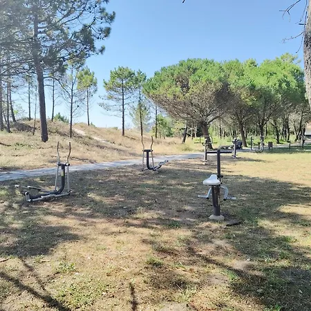 Pes Na Area Fisterra 03 * San Martín de Arriba